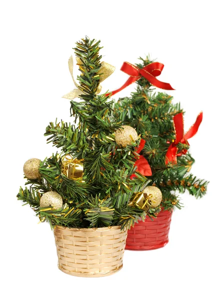 Dva vánoční strom — Stock fotografie