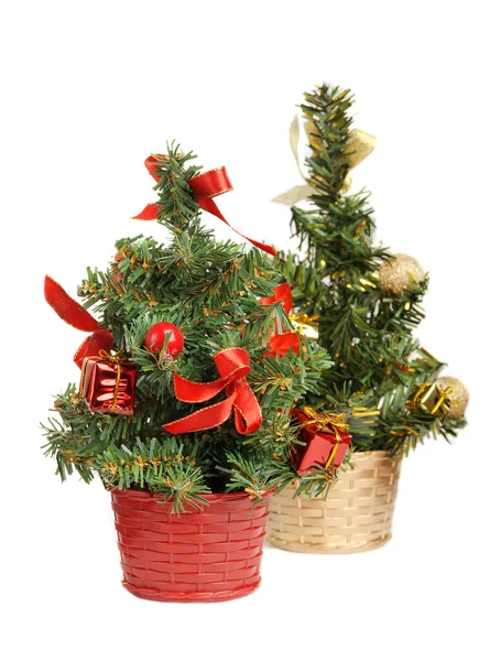 Две рождественские елки — стоковое фото