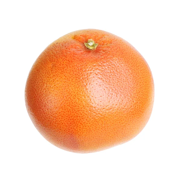 Jediné oranžové plody — Stock fotografie