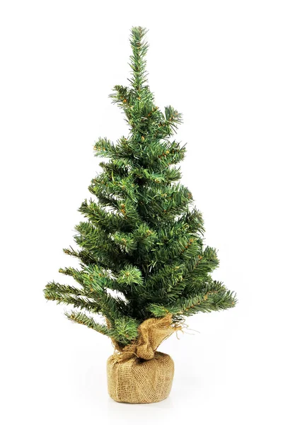 Nackter Weihnachtsbaum ohne Dekoration — Stockfoto