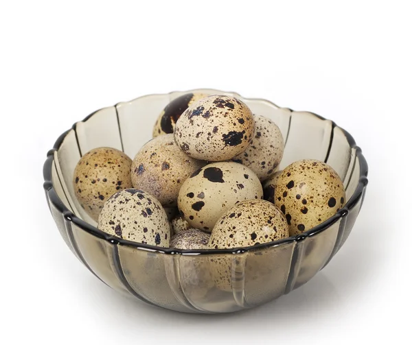 Eggs in dish — Stock Photo, Image
