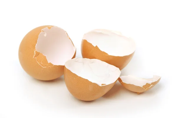 Egg shell — Stock Photo, Image