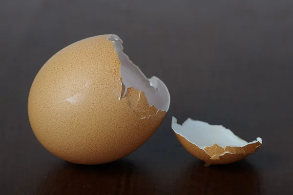 Cáscara de huevo —  Fotos de Stock