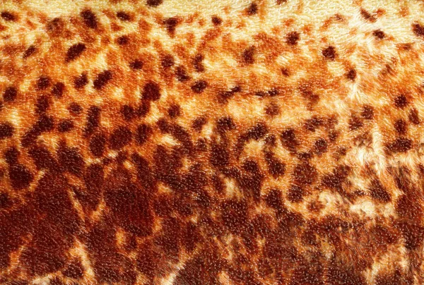 Textura de leopardo — Fotografia de Stock