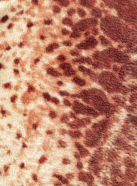Leopardí textura — Stock fotografie