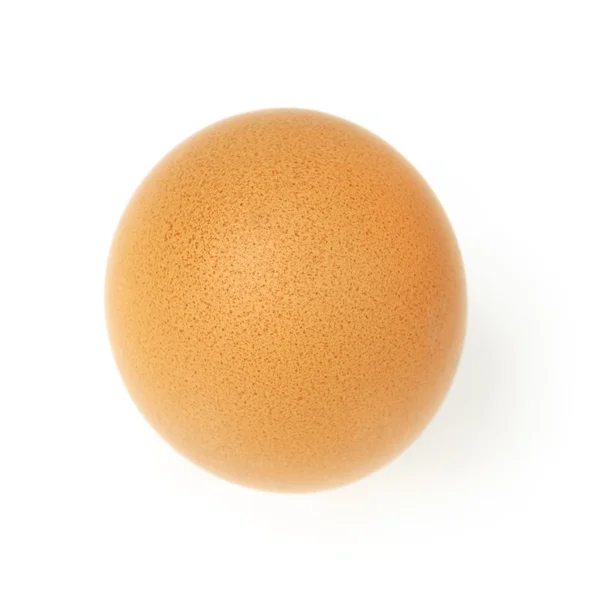 Single egg Stock Picture