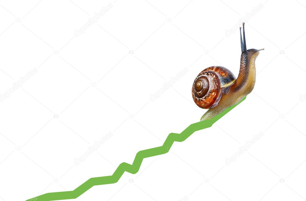 Snail on chart currency