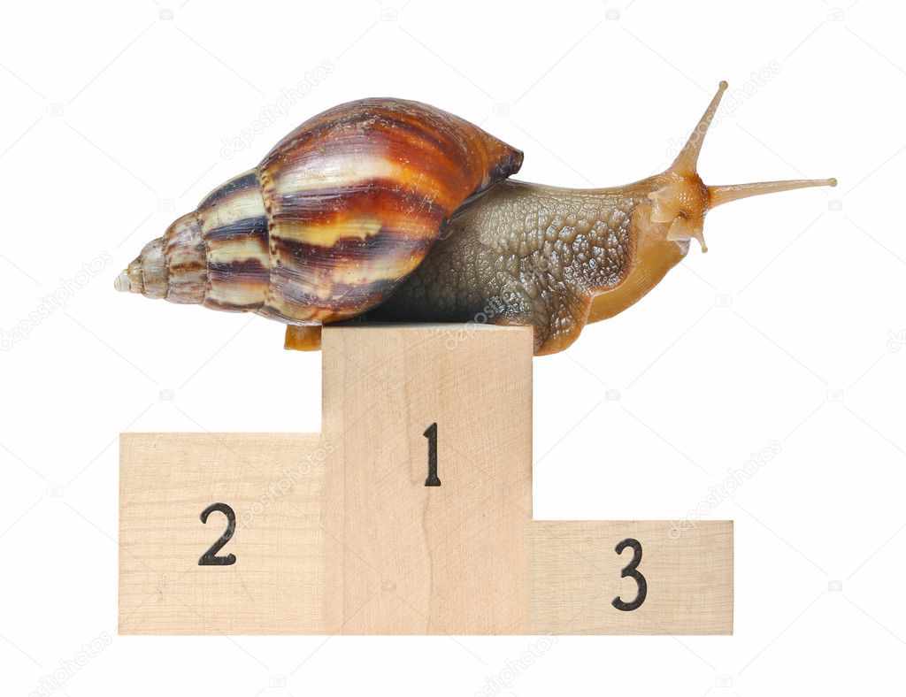 Big snail on podium