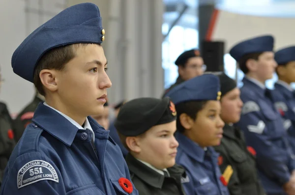 stock image Canadian air cadent