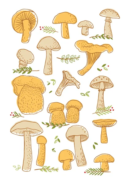 Ensemble de gribouillis aux champignons — Image vectorielle