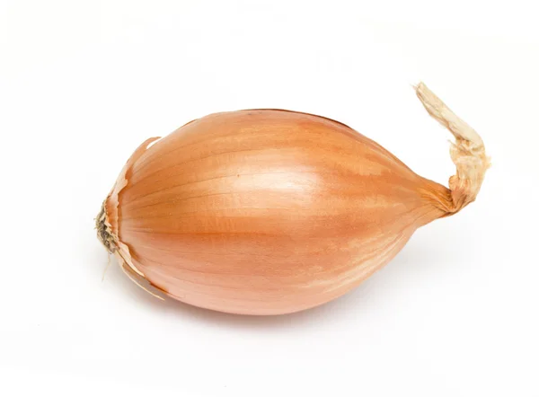 stock image Ripe onion on a white background