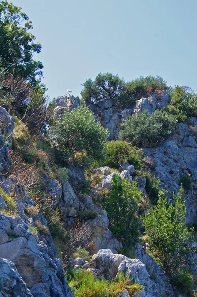 Massiivinen iso kiviä — kuvapankkivalokuva