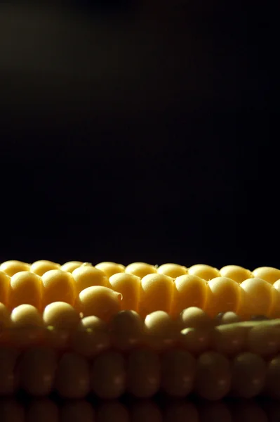 Sárga kukorica Stock Kép
