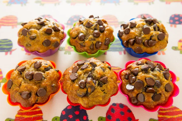 Chocolate chips muffins group — Stock Photo, Image