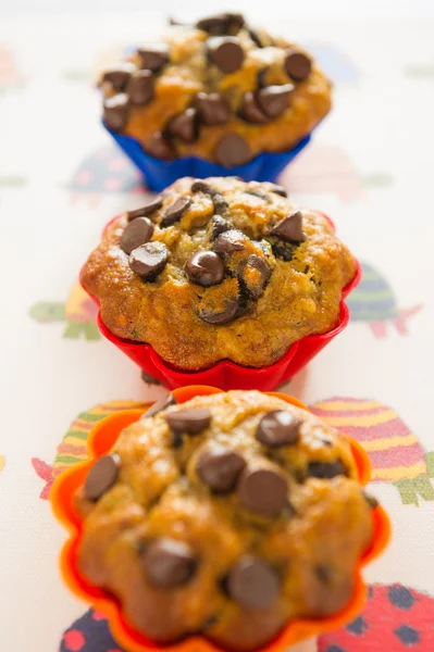 Muffins de vainilla choco —  Fotos de Stock