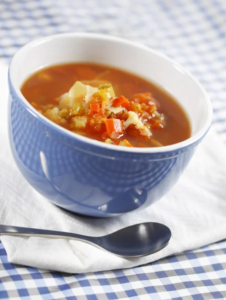 Сельский овощной суп — стоковое фото