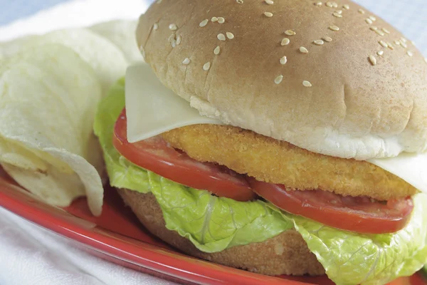 Chicken hamburger — Stock Photo, Image