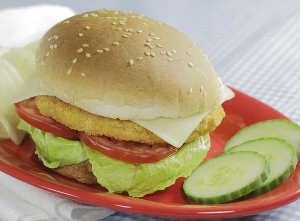 Hamburger chicken — Stock Photo, Image