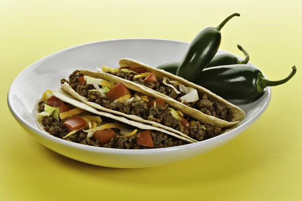 Sonniger Taco — Stockfoto