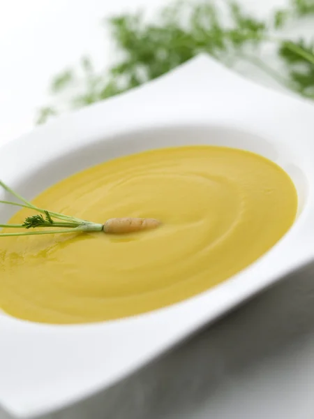 Sekély sárgarépa leves — Stock Fotó