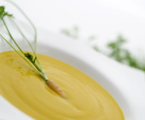Крем суп з моркви — стокове фото