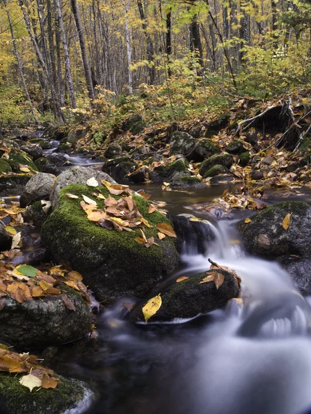 秋季流淌的河水 — 图库照片