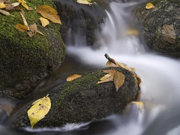Flujo de otoño de agua con hojas — Foto de Stock