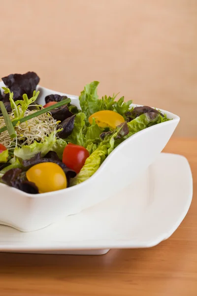 Salad meal — Stock Photo, Image