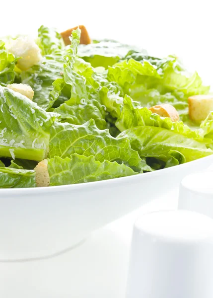 Caesar salad meal — Stock Photo, Image
