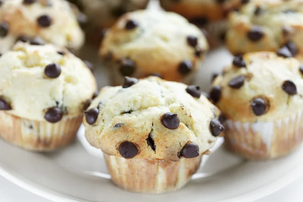 Chocolate chips muffins group — Stock Photo, Image
