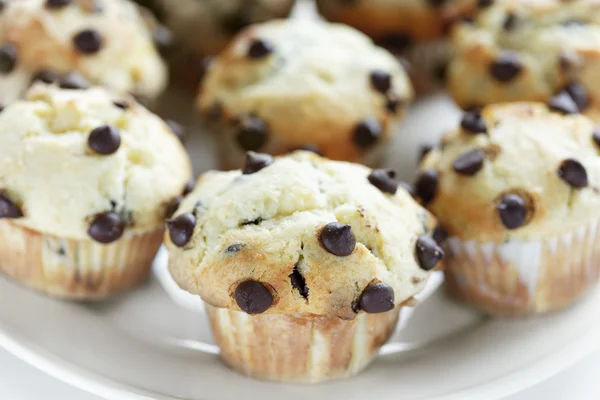 Schokoladenchips Muffins Gruppe — Stockfoto