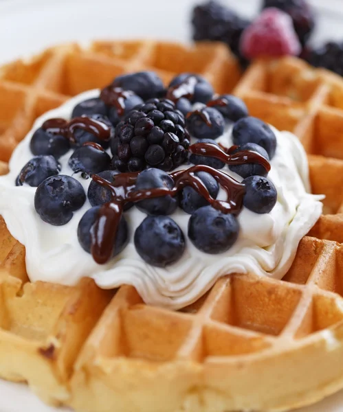 stock image Blueberry waffle