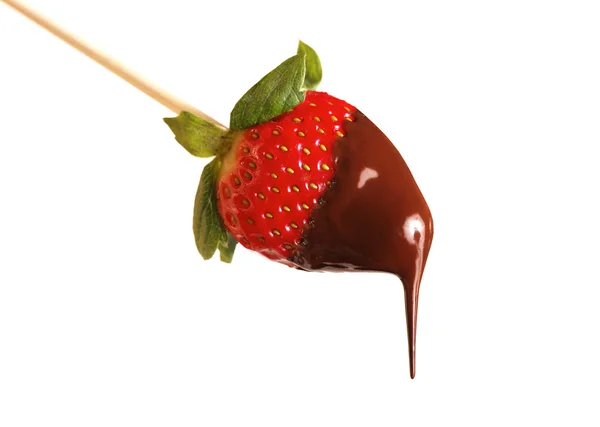 stock image Isolated strawberry with chocolate on a white background