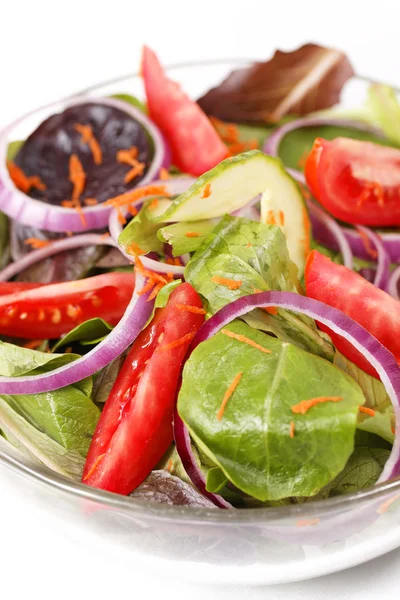 Salat in einer Schüssel — Stockfoto