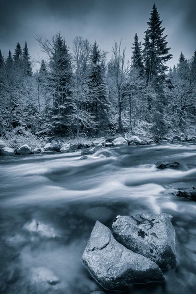 Cold winter near a river — Stock Photo, Image
