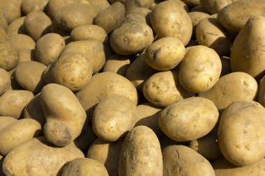 Marché pommes de terre market potatoes paris