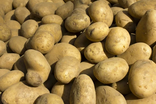 stock image Marché pommes de terre market potatoes paris