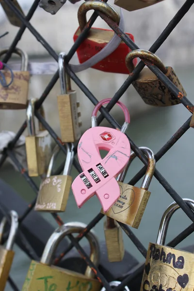 Stock image Cadenas amour love locks Paris