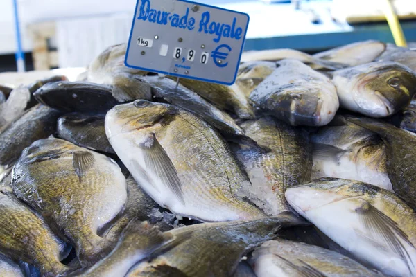 Fresh fish market marché aux poisson paris 3 — Stockfoto