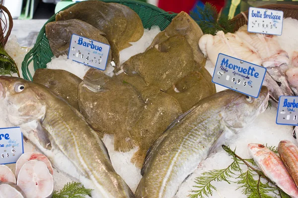 Fresh fish market marché aux poisson paris 5 — Stockfoto