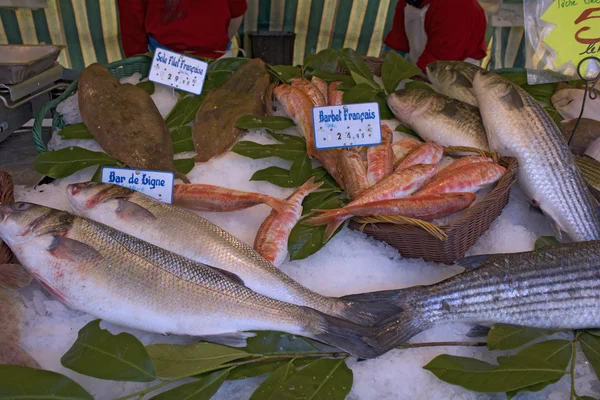 Fresh fish market marché aux poisson paris 7 — Stock Photo, Image