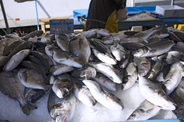 Fresh fish market marché aux poisson paris 1 — Stockfoto