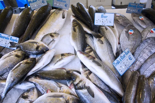 Fresh fish market marché aux poisson paris 9 — Stock Photo, Image