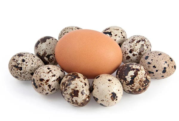 Hens and quails eggs — Stock Photo, Image