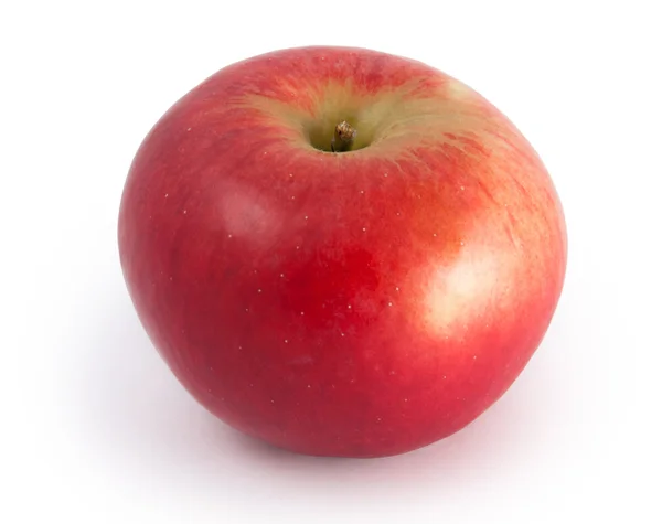 One apple — Stock Photo, Image