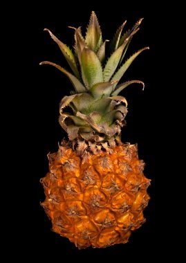 küçük ananas