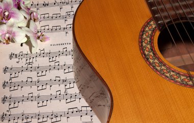 Guitar with notes and orchid clipart