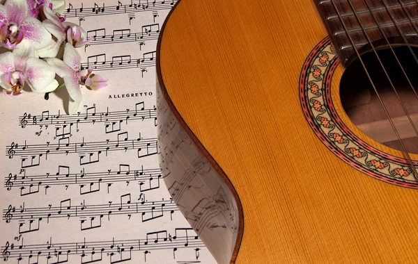 stock image Guitar with notes and orchid