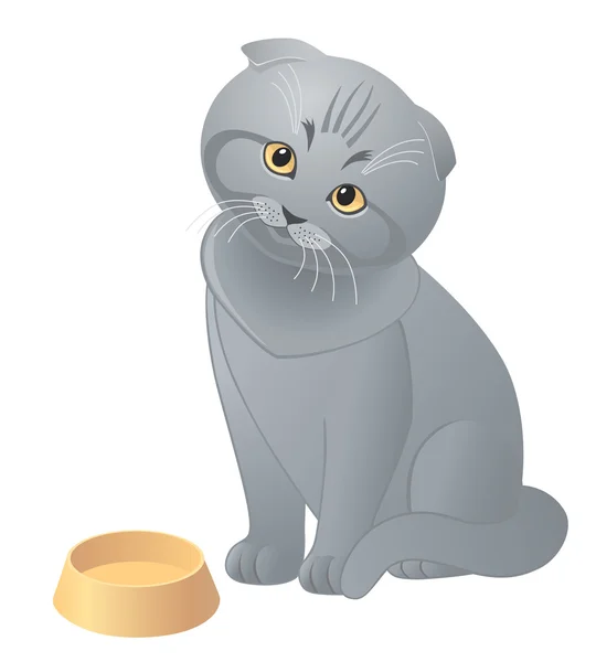 Hungriga söt kattunge Royaltyfria illustrationer