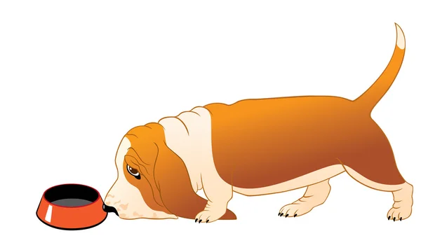 Hungriger Basset-Hund — Stockvektor